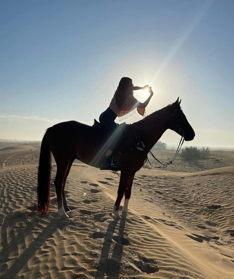 From Doha: Experience Horse Riding In Qatar Desert - Meeting your horse at the equestrian center
