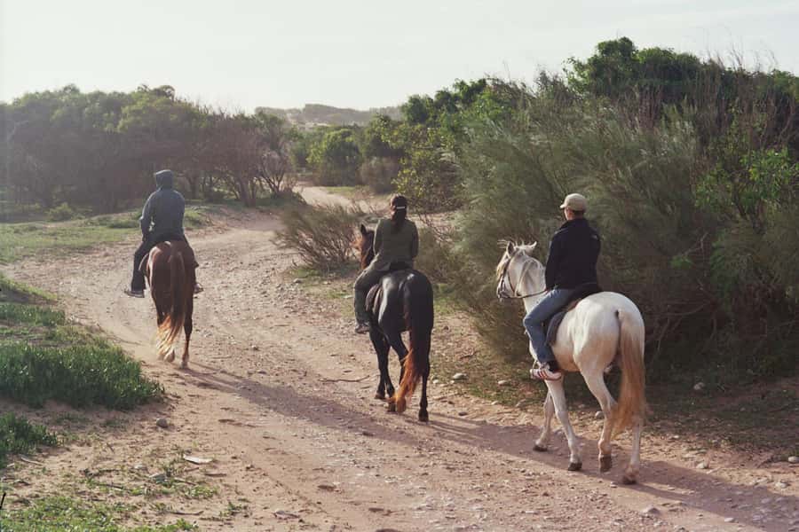 From Essaouira: 1-Hour Horse Ride - Key points to know before you ride