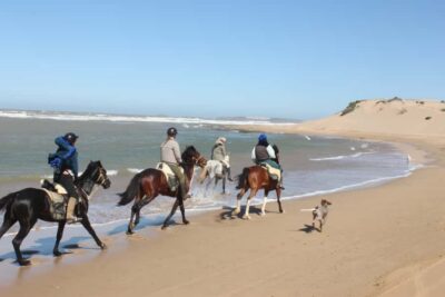 1-Hour Horse Ride