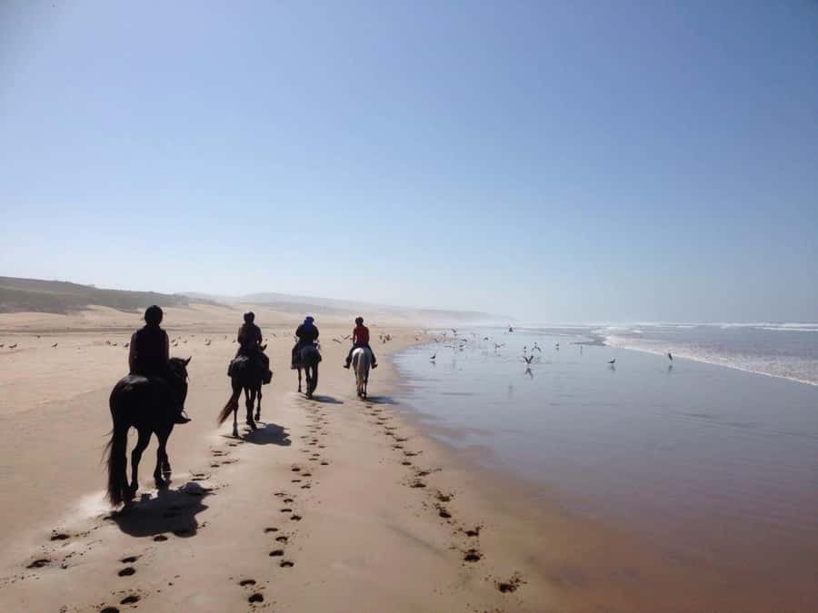 From Essaouira: 1-Hour Horse Ride with sunset - Key points to know before booking