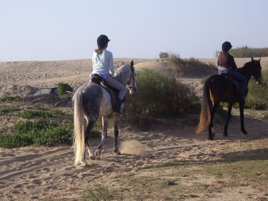From Essaouira: 1-Hour Horse Ride with sunset - Looking toward Mogador Island