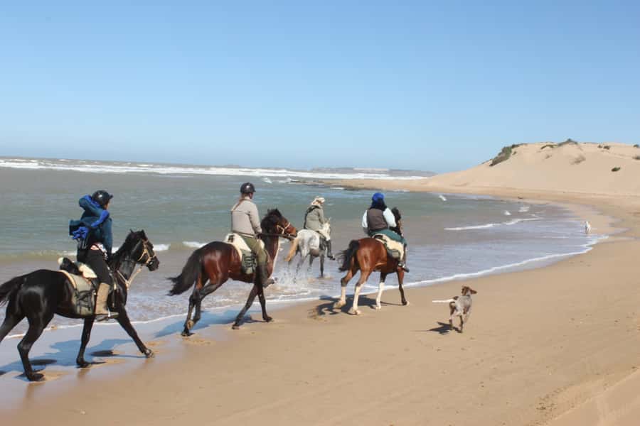 From Essaouira: 1-Hour Horse Ride - Meeting your horse and finding your pace