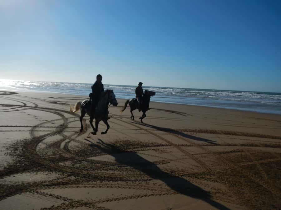 From Essaouira: 2h Horseback Ride with Sunset - At a glance