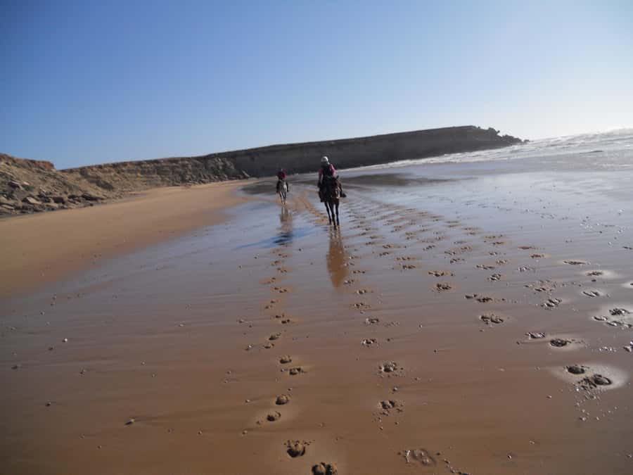 From Essaouira: 2h Horseback Ride with Sunset - Why this ride is more than a beach trot