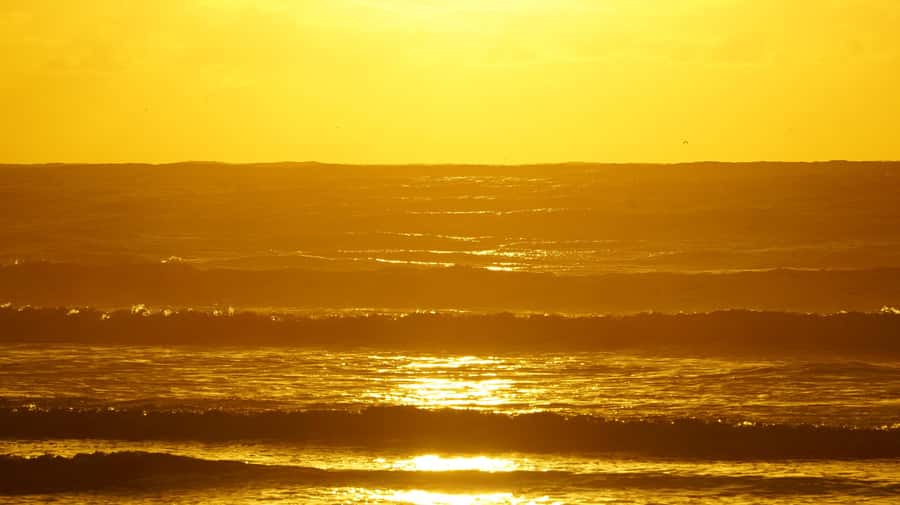 From Essaouira: 2h Horseback Ride with Sunset - Choosing your Arabian-Berber horse