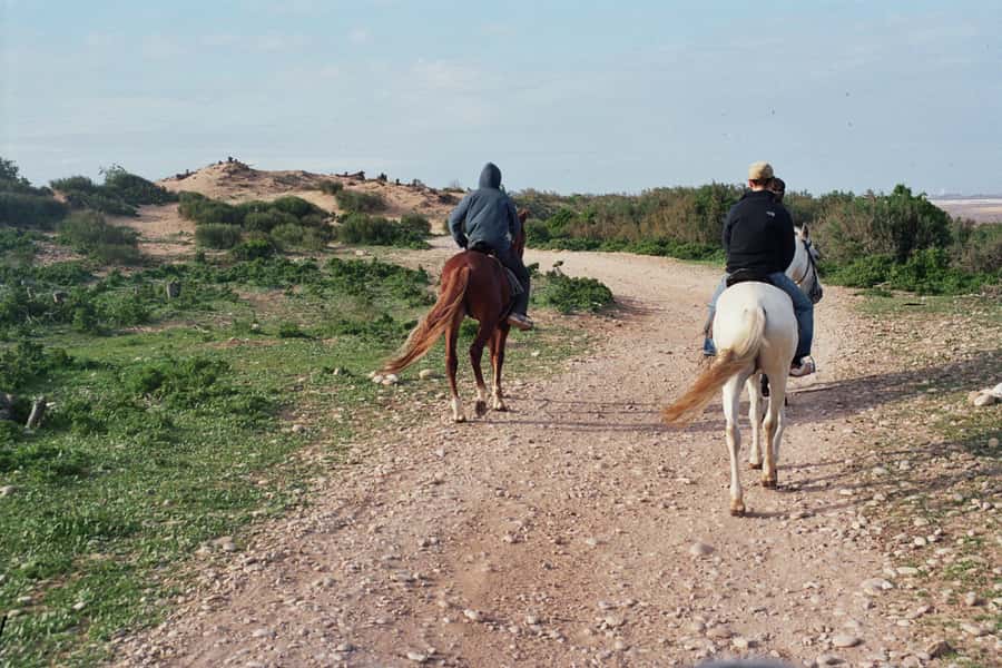 From Essaouira: 2h Horseback Ride with Sunset - The first hour: beach, dunes, and ocean views