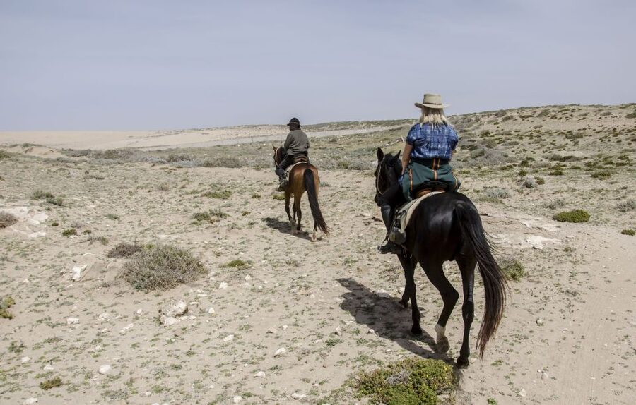 From Essaouira: 2h Horseback Ride with Sunset - The return through mimosa and thuja woodland
