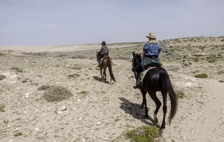From Essaouira: 2h Horseback Ride with Sunset - A practical choice for families