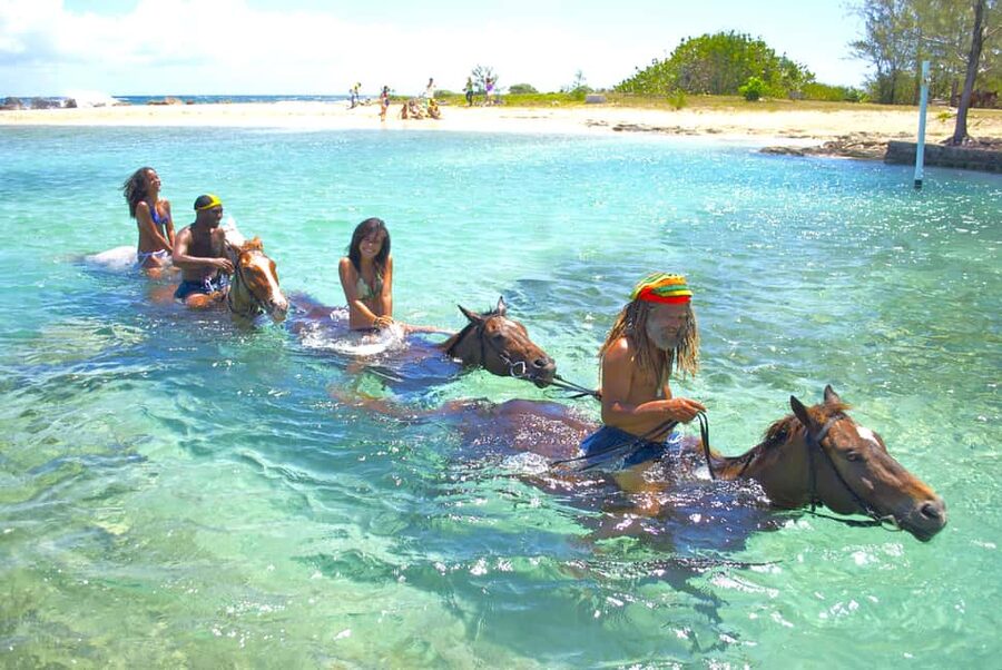 From Falmouth: Horseback Ride and Swim Beach Trip - Leaving Falmouth for Sand N Saddle beach