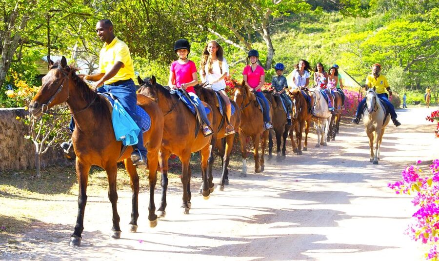 From Falmouth: Horseback Ride and Swim Beach Trip - When this experience makes sense