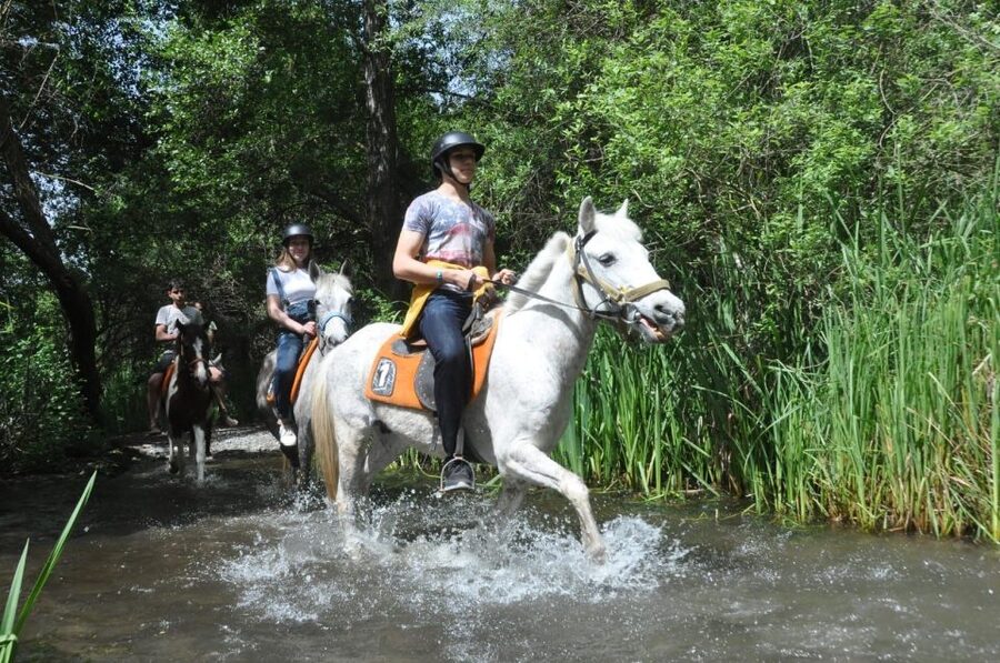 From Fethiye: Horse Riding Adventure - Key points to know before you book