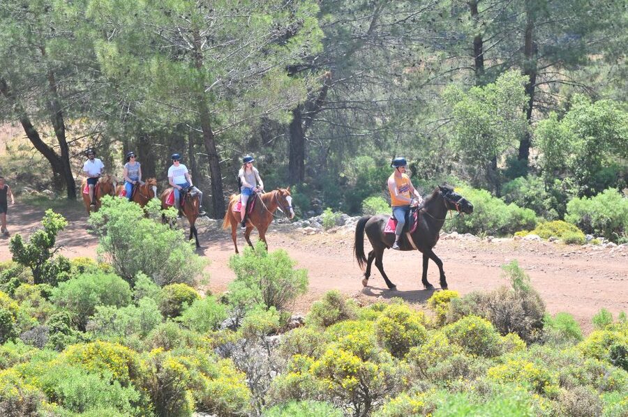 From Fethiye: Horse Riding Adventure - What the Fethiye horse ride is really like