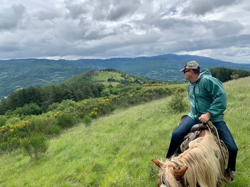 From Florence: Horse Ride and Wine Tour at Estate with Lunch - Should You Book This Chianti Horse Ride?
