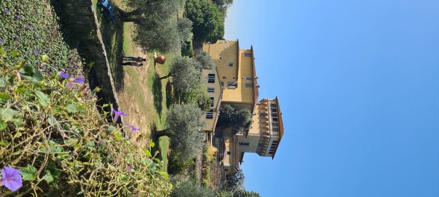 From Florence: Horseback Ride and Olive Oil and food tasting - Weather, timing, and small practical matters
