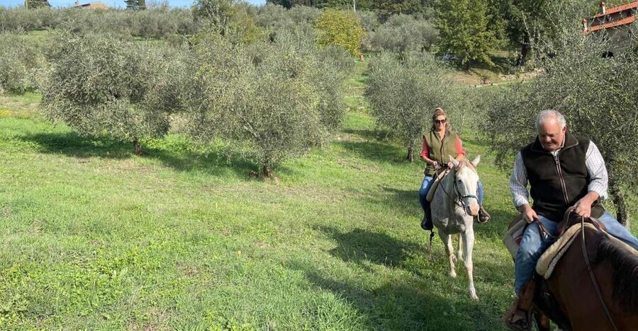 From Florence: Horseback Ride and Olive Oil and food tasting - Leaving Florence for the Chianti hills