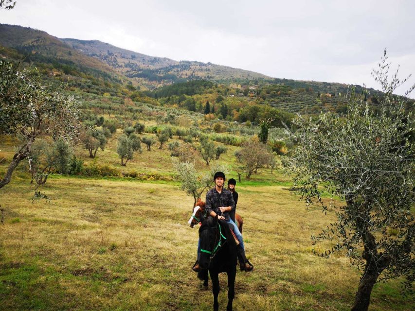 From Florence: Horseback Ride and Olive Oil and food tasting - One hour through vineyards and olive groves