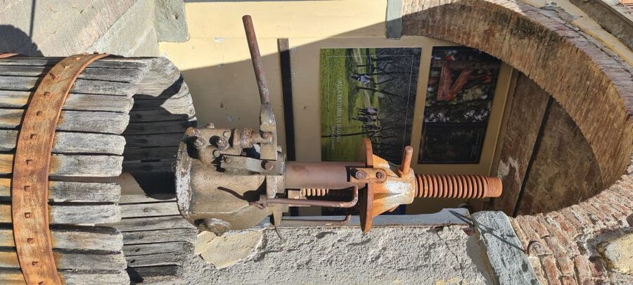 From Florence: Horseback Ride and Olive Oil and food tasting - Touring the olive oil estate and its old presses