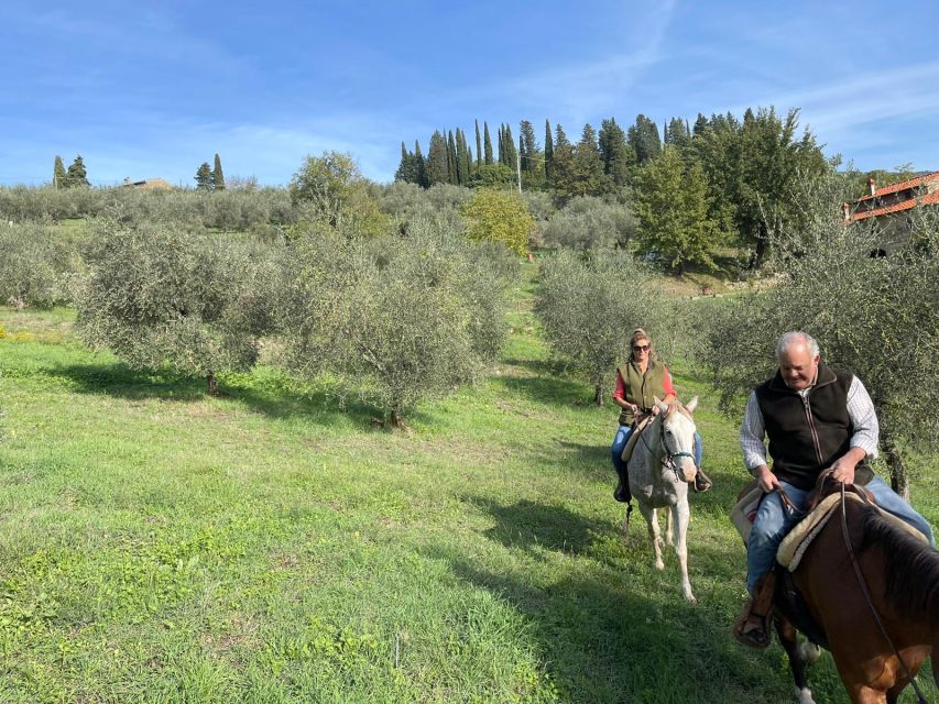 From Florence: Horseback Ride and Olive Oil and food tasting - Tasting Tuscany with lunch-sized portions