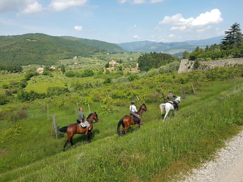 From Florence: Horseback Ride and Olive Oil and food tasting - What makes the private format useful