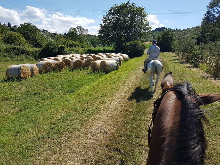 From Florence: Horseback Ride and Olive Oil and food tasting - Choosing a horse and preparing for the trail