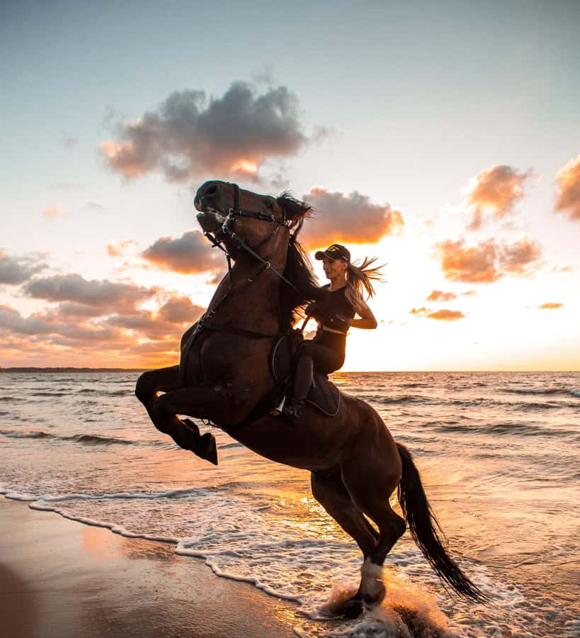 From Hurghada: Makadi Bay Horse Riding Tour - Practical preparation for a smoother ride