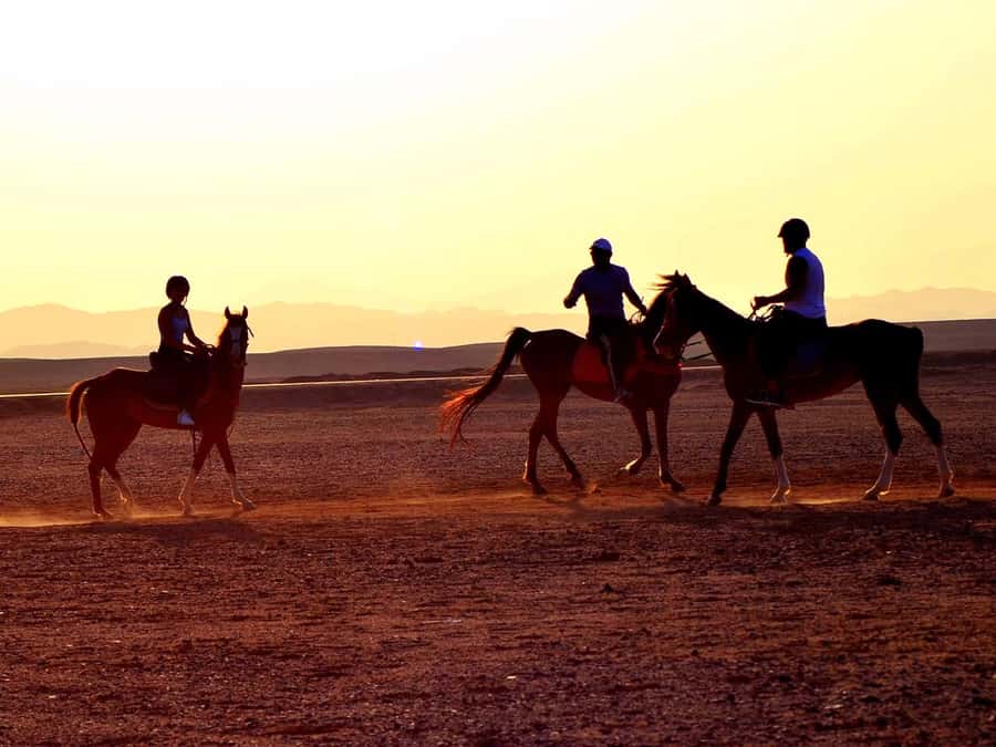 From Hurghada: Makadi Bay Horse Riding Tour - Two hours through desert and sea air