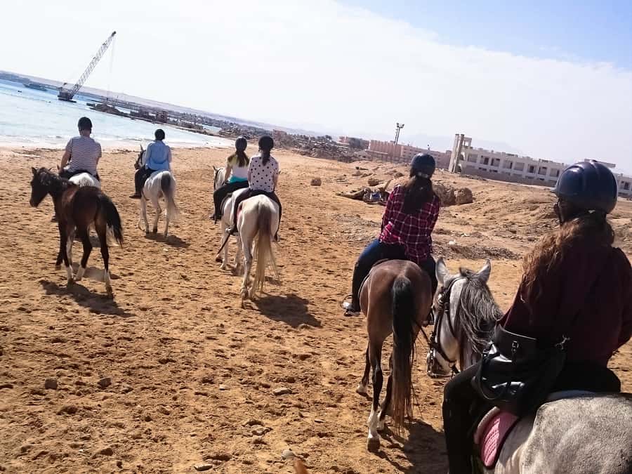 From Hurghada: Makadi Bay Horse Riding Tour - Sunrise, morning, afternoon, or sunset