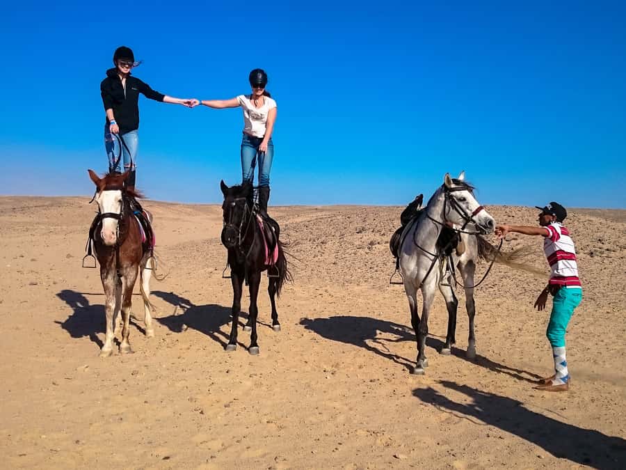 From Hurghada: Makadi Bay Horse Riding Tour - What the $20 price really buys you
