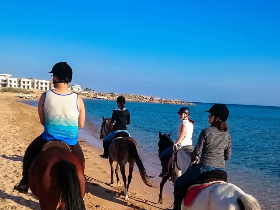 From Hurghada: Makadi Bay Horse Riding Tour - Who will enjoy this ride most
