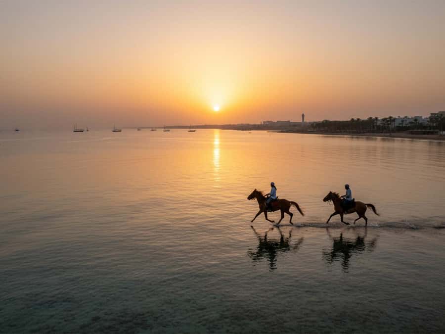 From Hurghada: Red Sea Sunrise and Desert Horseback Riding - Meeting the horses and finding your pace