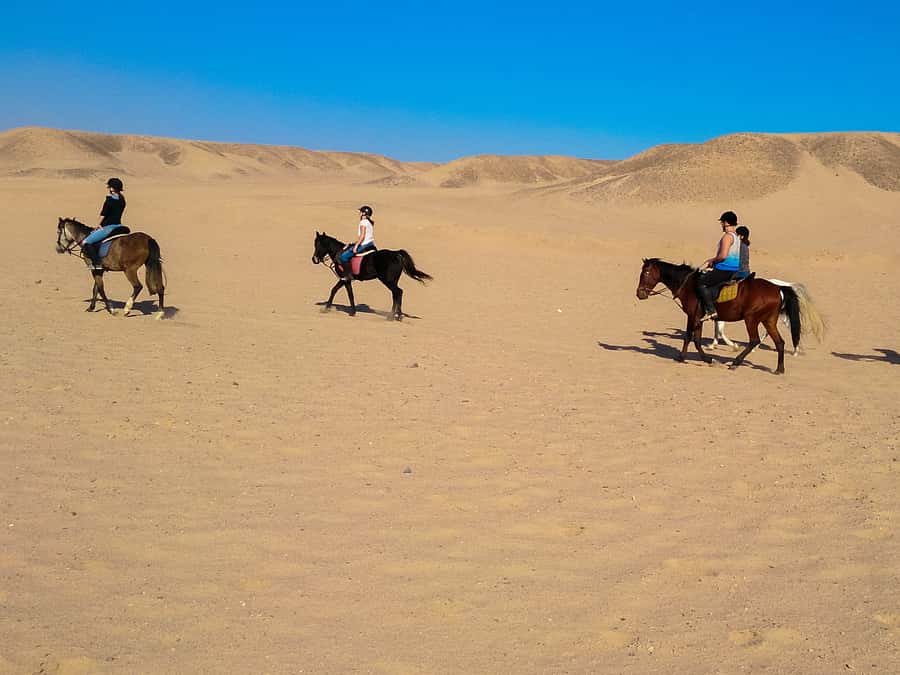 From Hurghada: Red Sea Sunrise and Desert Horseback Riding - Two hours through desert sand and valleys