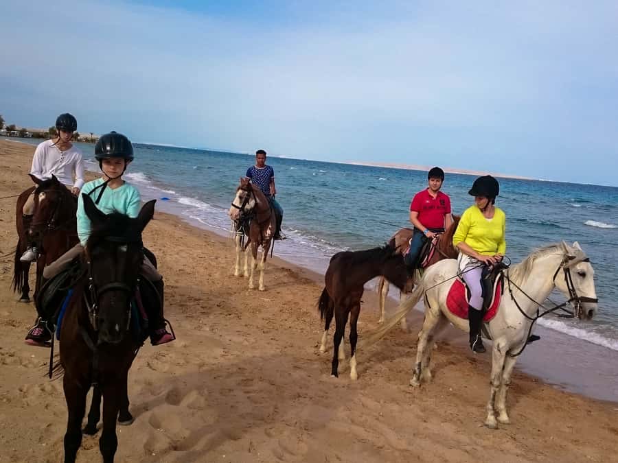 From Hurghada: Red Sea Sunrise and Desert Horseback Riding - Riding along the Red Sea shore