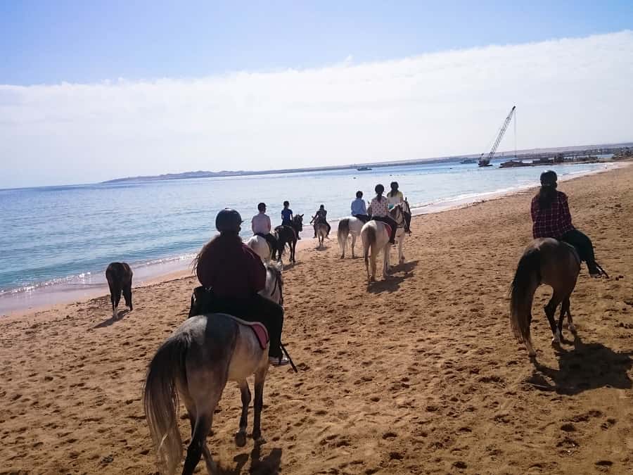 From Hurghada: Red Sea Sunrise and Desert Horseback Riding - Sunrise, breakfast, sunset, and the other formats