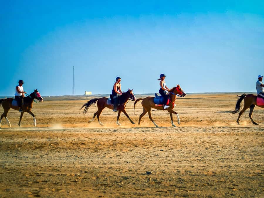 From Hurghada: Red Sea Sunrise and Desert Horseback Riding - Who should book this experience?