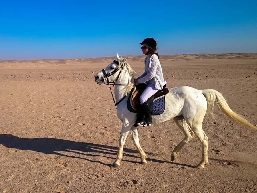 From Hurghada: Red Sea Sunrise and Desert Horseback Riding - What to pack for a more comfortable ride