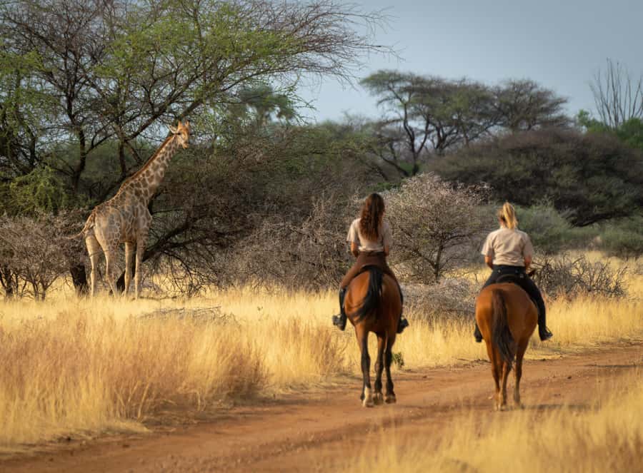 From Johannesburg: Horse-Riding Safari and Cable Car Tour - Two hours on horseback in the nature reserve