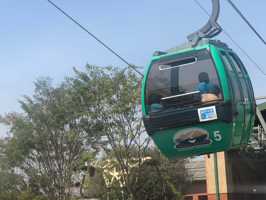 From Johannesburg: Horse-Riding Safari and Cable Car Tour - The short transfer to the cable car