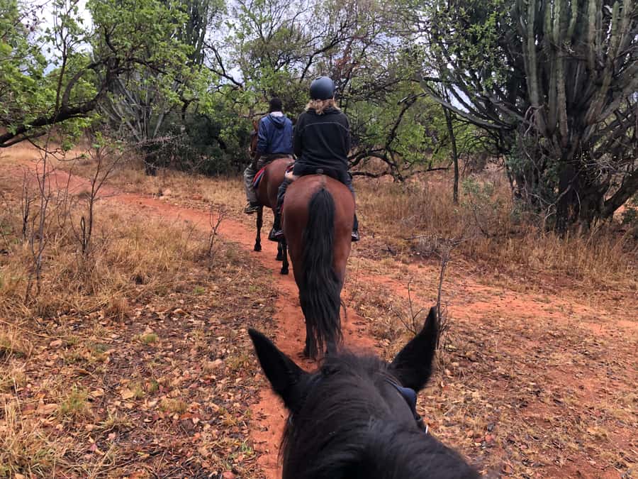 From Johannesburg: Horse-Riding Safari and Cable Car Tour - What the $242 price includes