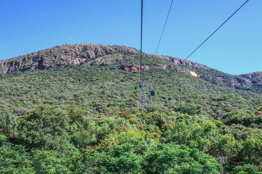 From Johannesburg: Horse-Riding Safari and Cable Car Tour - Who will enjoy this day most