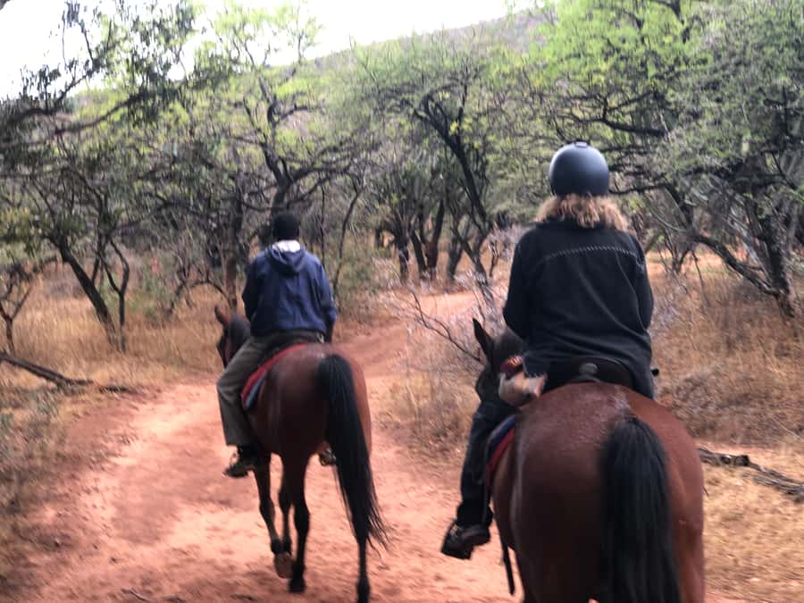 From Johannesburg: Horse-Riding Safari and Cable Car Tour - Practical tips for a smoother day