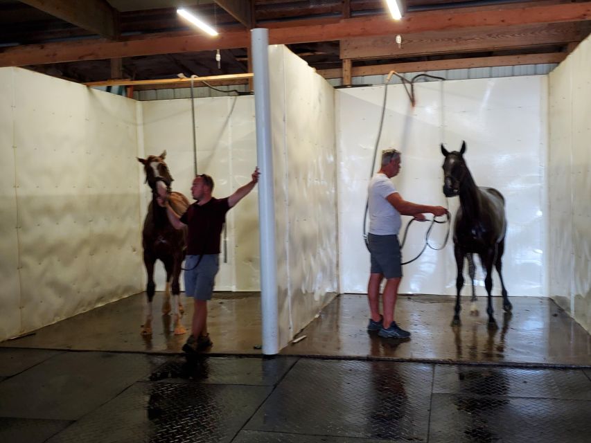 From Lexington: Kentucky Horse Farms Tour - Who will enjoy this tour most?