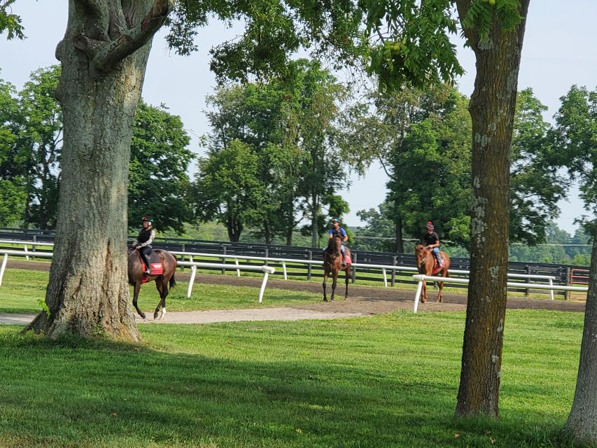From Lexington: Kentucky Horse Farms Tour - Leaving Lexington for Kentucky horse country
