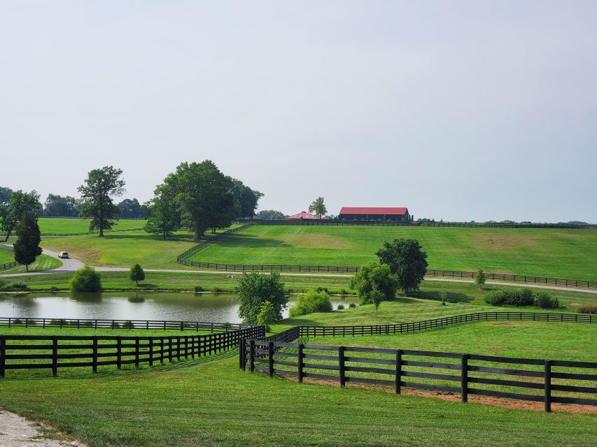 From Lexington: Kentucky Horse Farms Tour - Why the guide matters so much