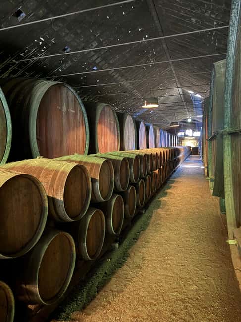 From Lisbon: Amazing Horseback Ride, Tasting, Estates, and Cristo Rei - Azeitão brings the wine into focus