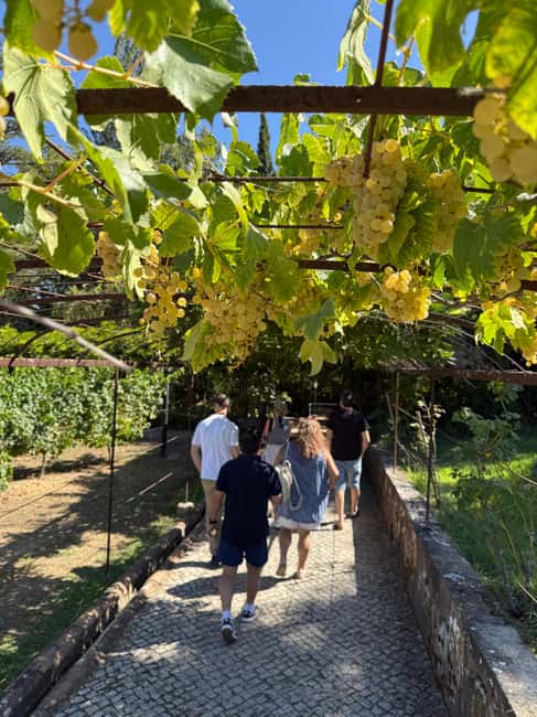 From Lisbon: Amazing Horseback Ride, Tasting, Estates, and Cristo Rei - Horseback riding in Moita