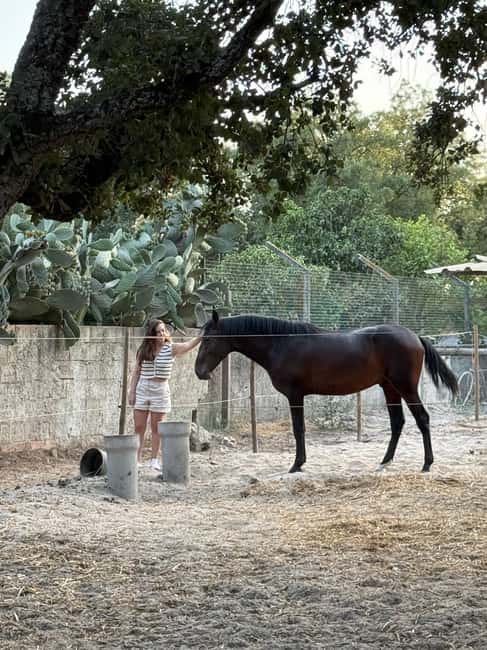 From Lisbon: Amazing Horseback Ride, Tasting, Estates, and Cristo Rei - Is $304 a fair price?