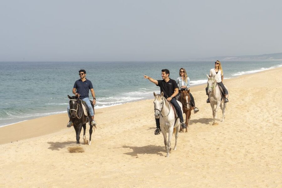 From Lisbon: Comporta and Setúbal Trip with Horseback Riding - Key points at a glance