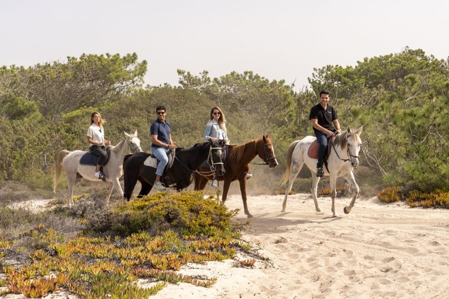 From Lisbon: Comporta and Setúbal Trip with Horseback Riding - Practical tips before you reserve