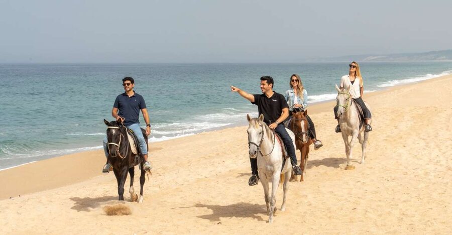 From Lisbon: Comporta and Setúbal Trip with Horseback Riding - Crossing the Sado Estuary to Troia