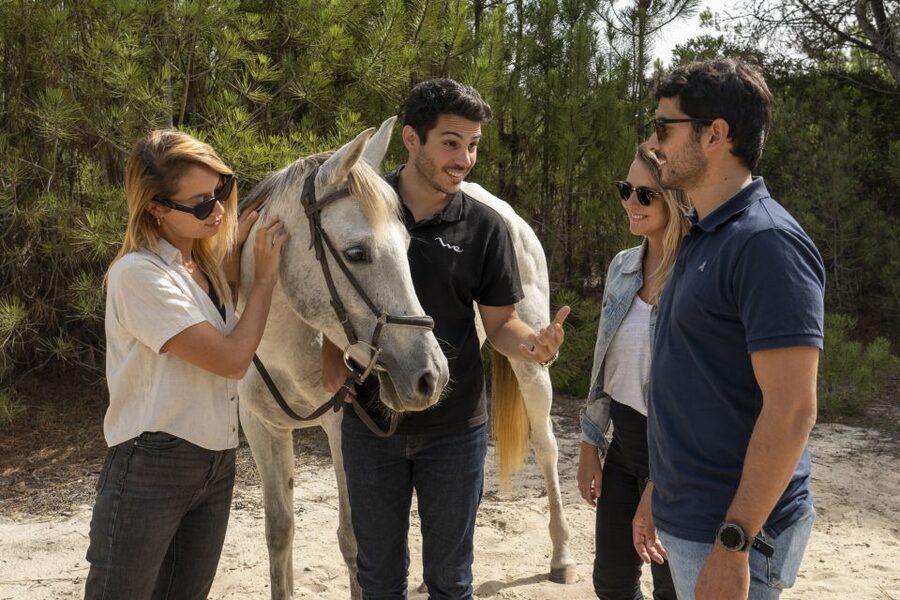 From Lisbon: Comporta and Setúbal Trip with Horseback Riding - Riding through Comporta’s rice fields and woods